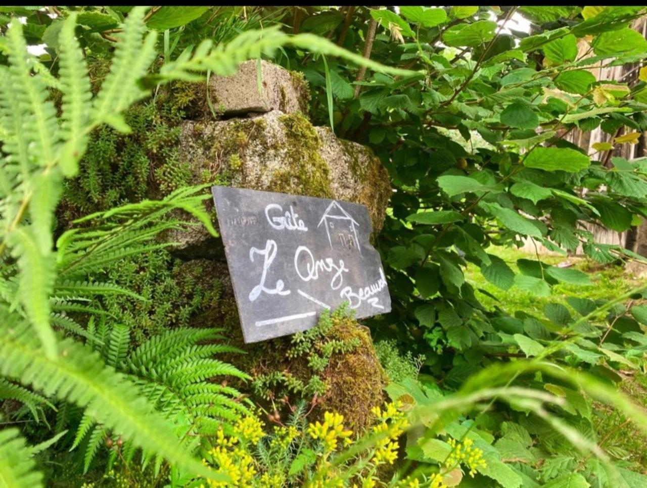 Gite Le Onze Beauval Saint-Dizier-Leyrenne Luaran gambar